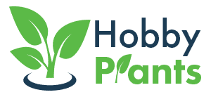 Hobby Plants