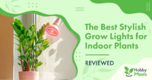 The Best Stylish Grow Lights for Indoor Plants [REVIEWED]